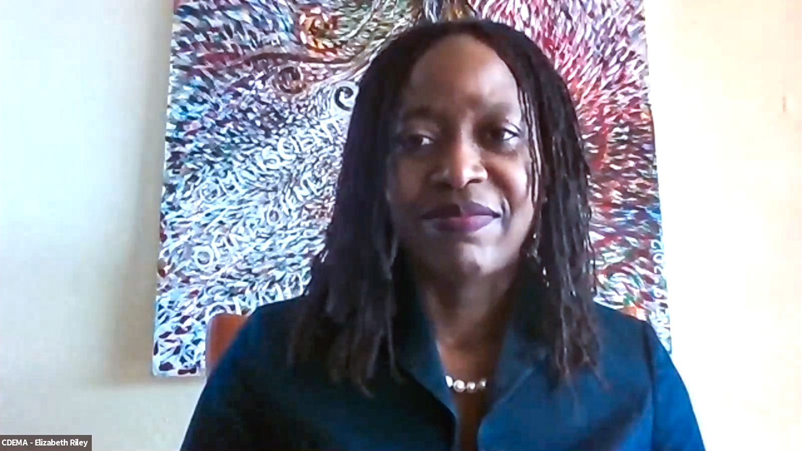 CDEMA-Elizabeth_Riley