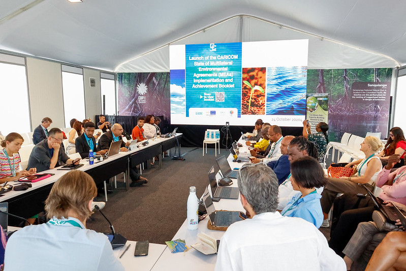 COP16 - Launch of report