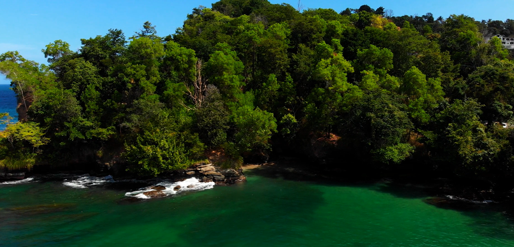 Caribbean biodiversity