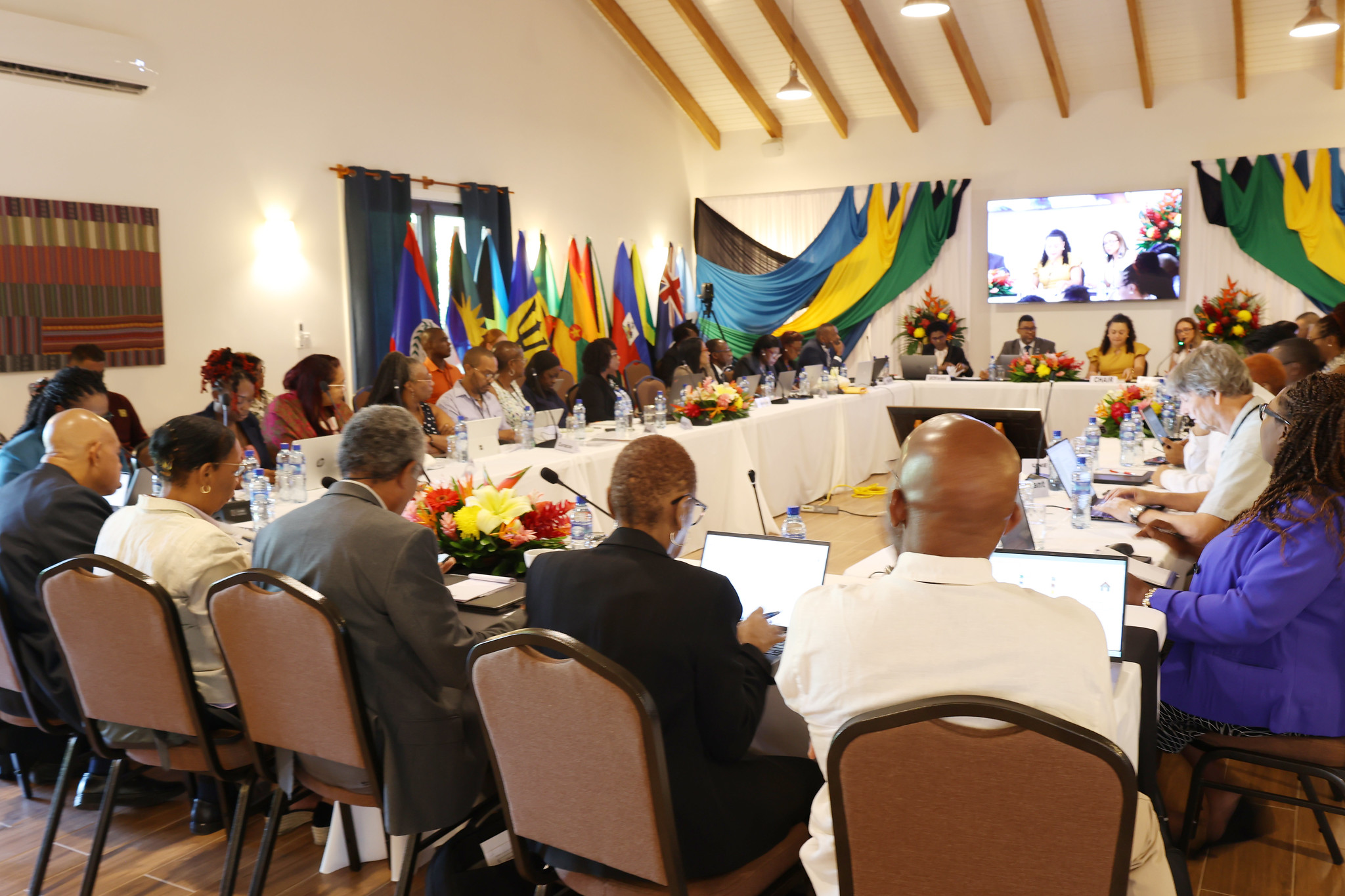 Census Symposium opening