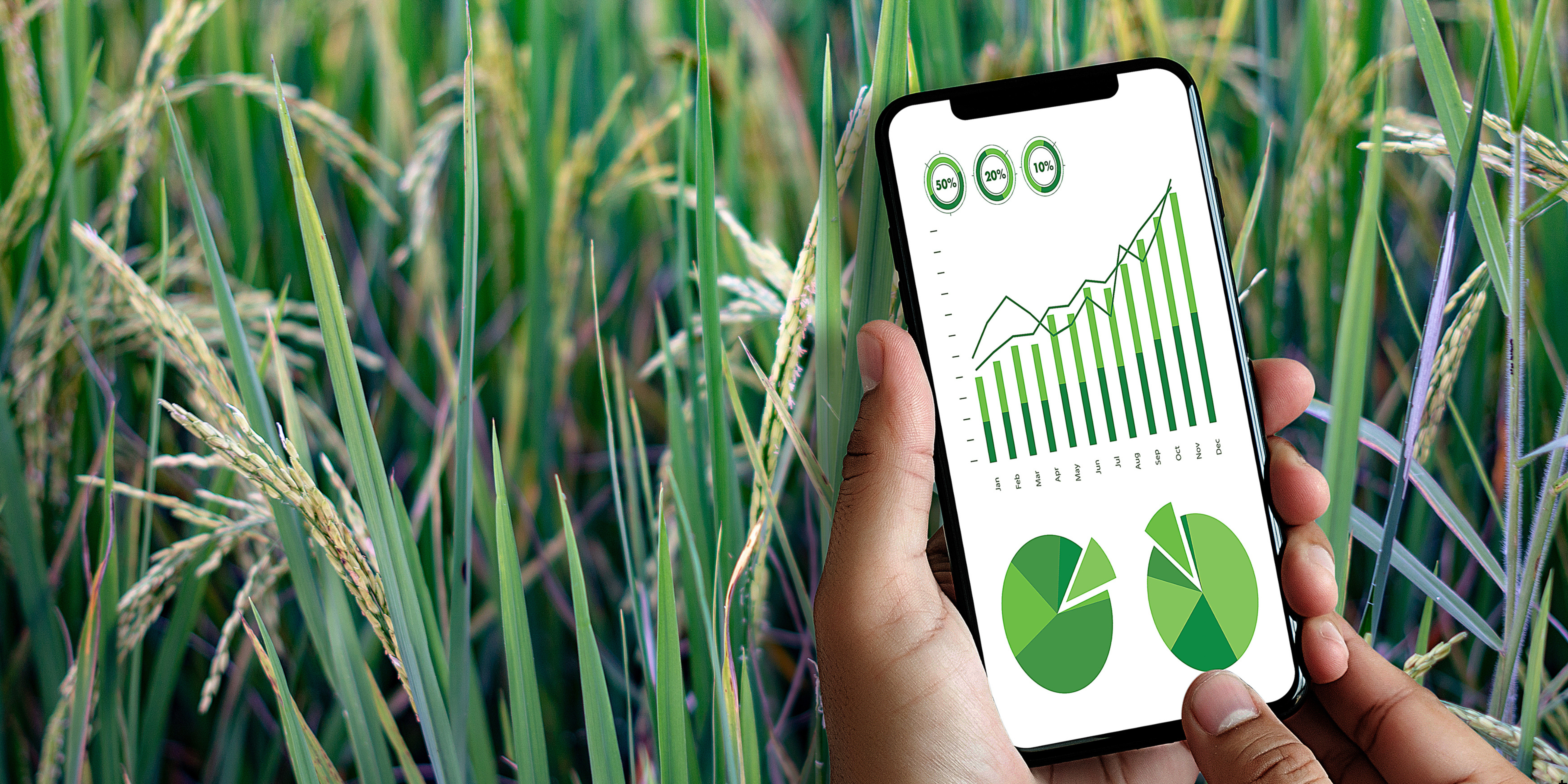 Food Security Survey