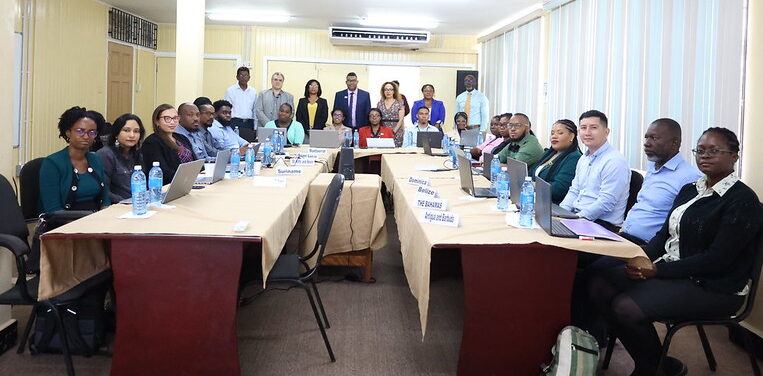 Guyana workshop - 22 April - group photo