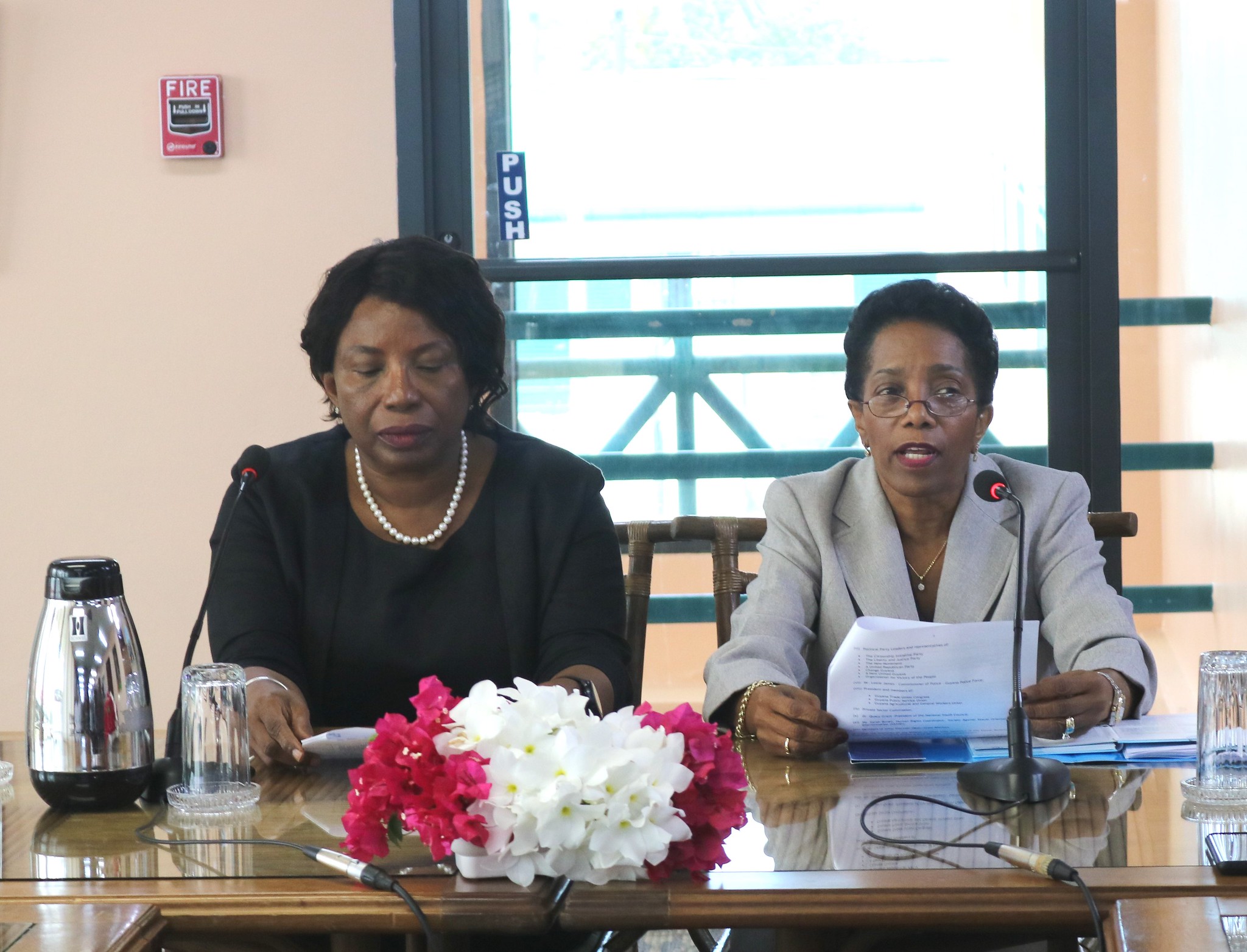 Guyana_Elections-Head-of-Mission