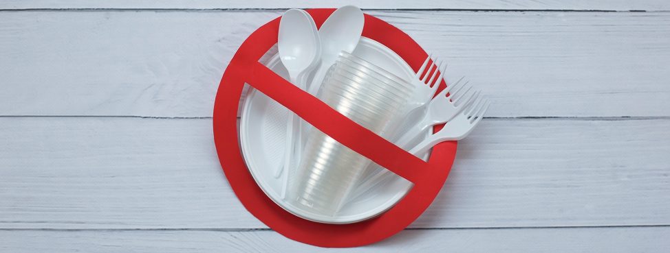 Plastics-ban-974x369 (BGIS)