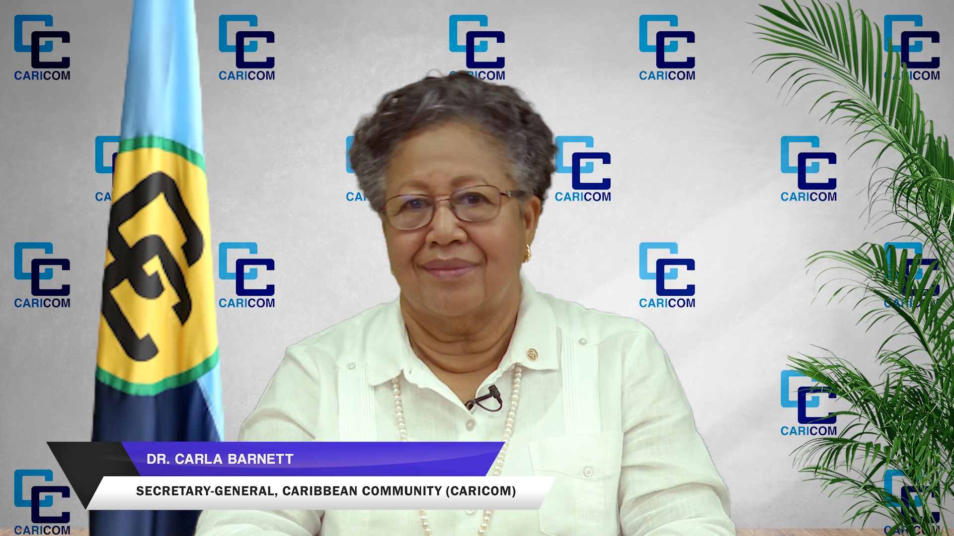 SG-on-CARICOM-MEETING.mp4.00_23_20_13.Still002