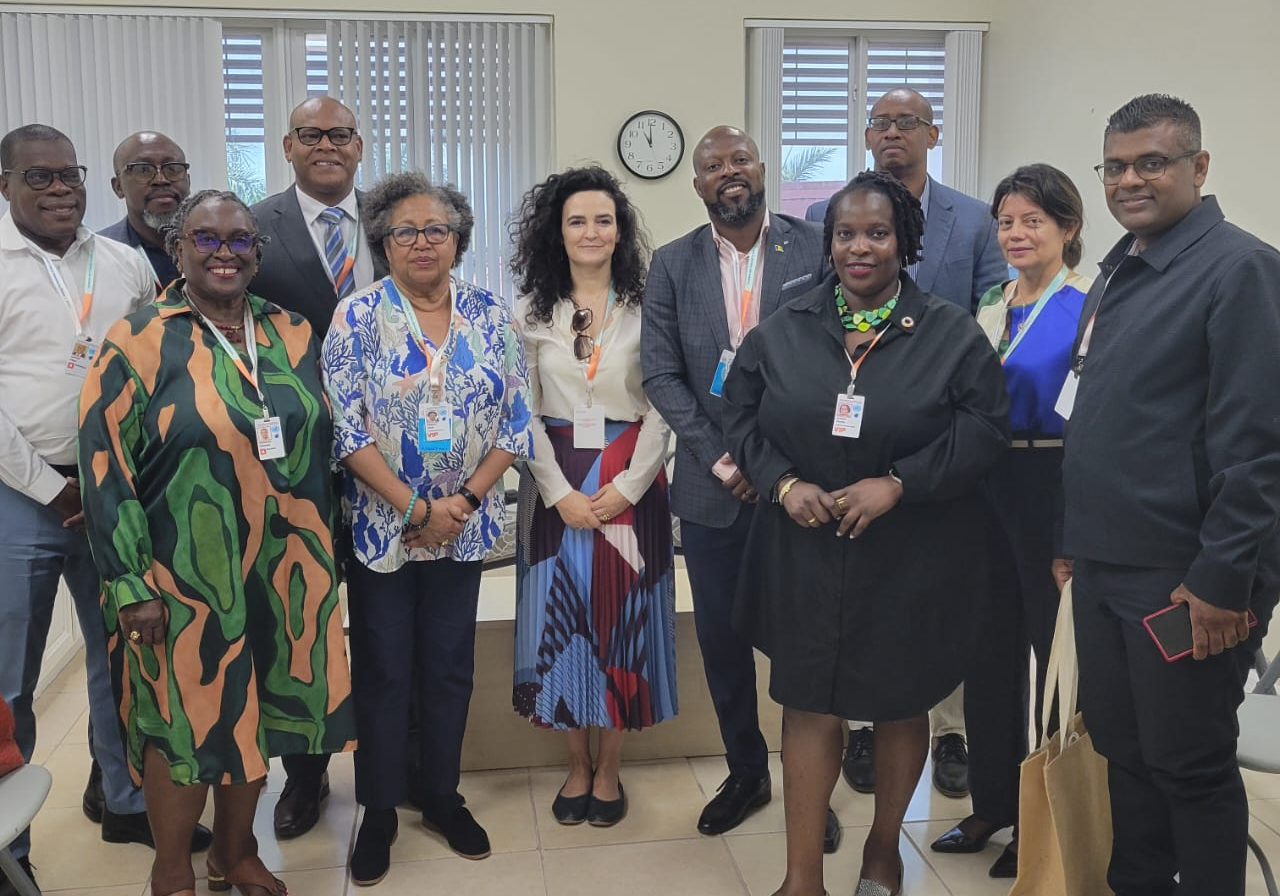 SIDS4 - SG and Green Climate Fund bilateral