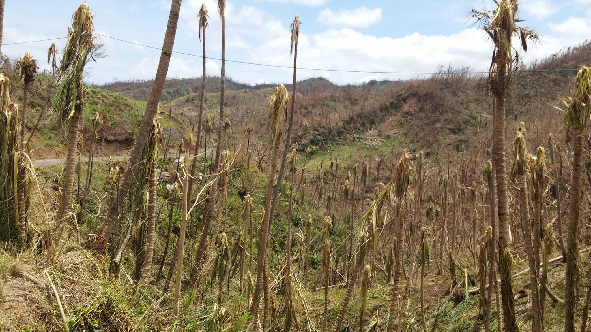 Barren landscape after Hurricane Maria struck Dominica