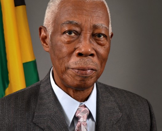 Senator The Honourable Arnold J. Nicholson Minister Of Foreign Affairs And Foreign Trade Of Jamaica