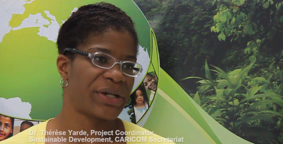 Dr Therese Yarde, Project Coordinator Sustainable Development, CARICOM Secretariat