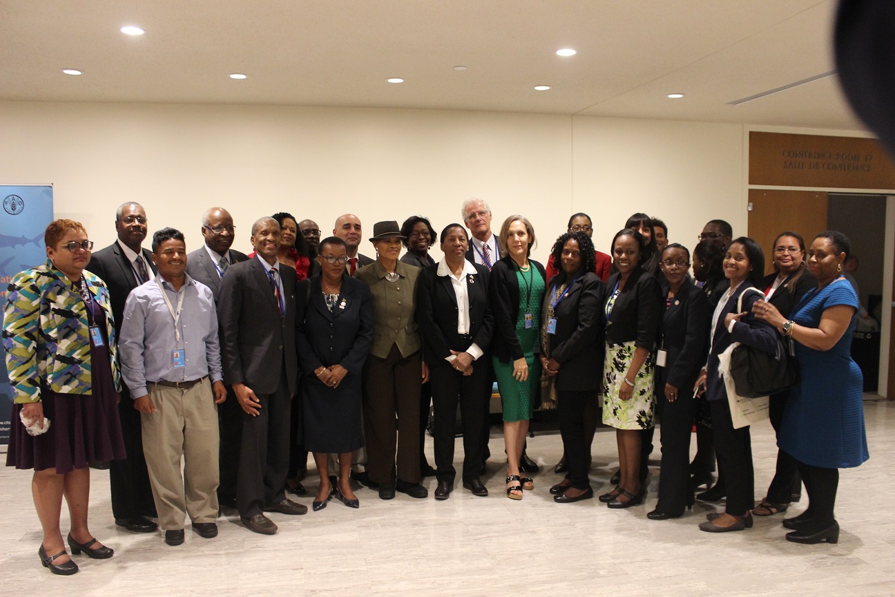 CARICOM family at the UN SDG 14 Conference photo