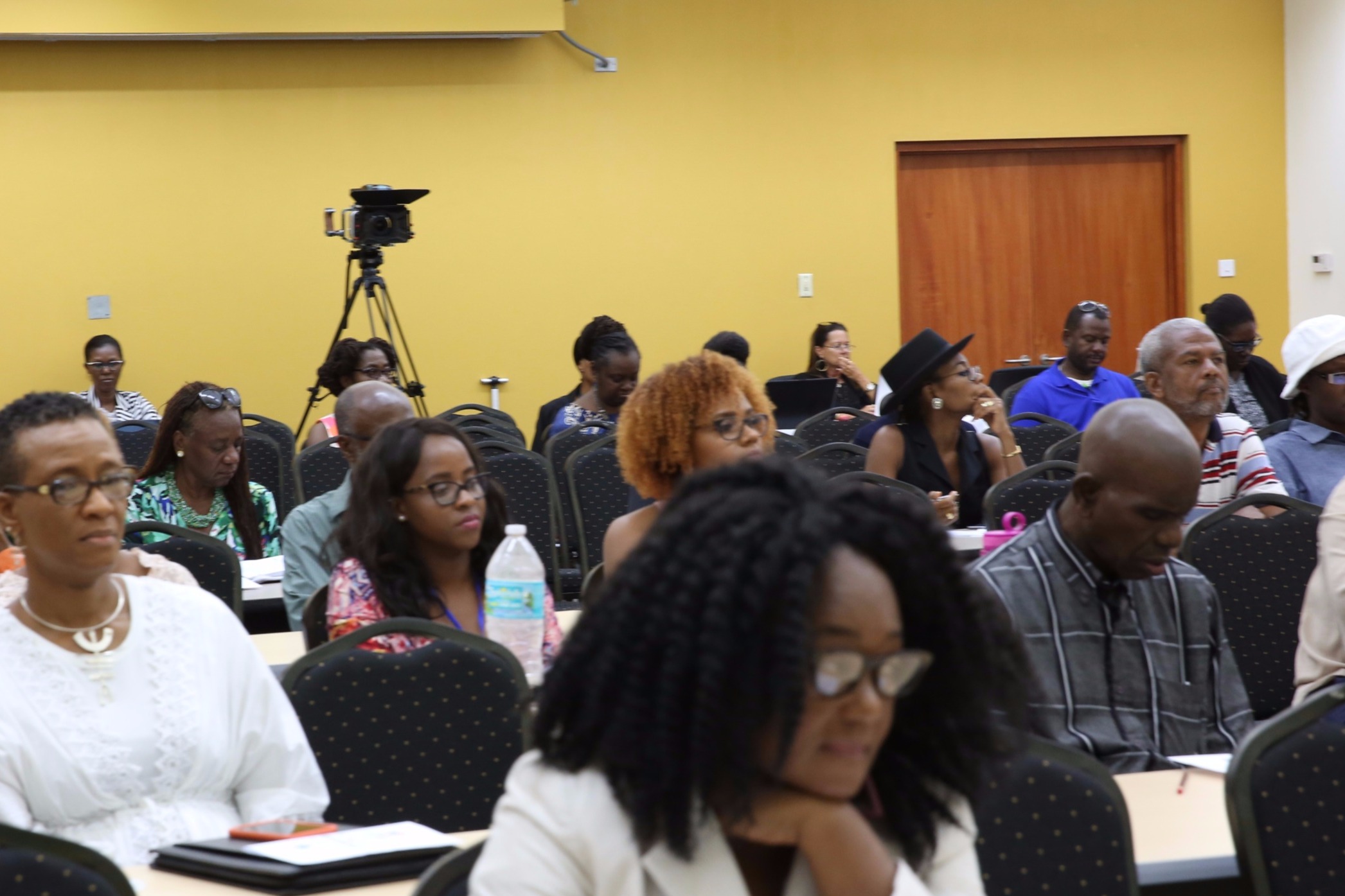 Participants at the Cultural Policy and Intellectual Property Rights workshop on August 20, 2017, held at the University of the West Indies, Cave Hill campus