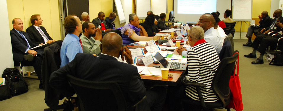 CARPHA deliberation- Image credit: Pan-American Health Organisation