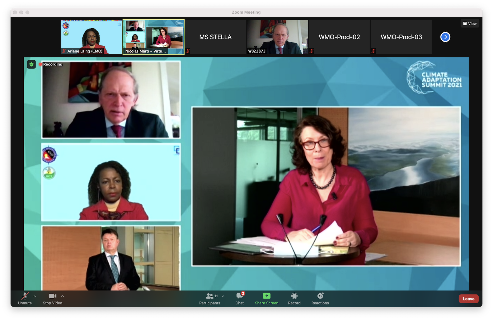 cmo-climate_adaptation_summit_screenshot