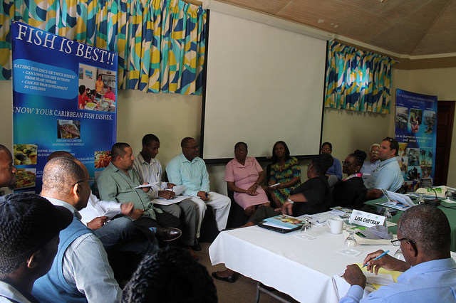 The Caribbean Regional Fisheries Mechanism (CRFM) working group discusses proposals to implement minimum standards for the capture of exploited species in November 2014, Panama City. Credit: Zadie Neufville/IPS