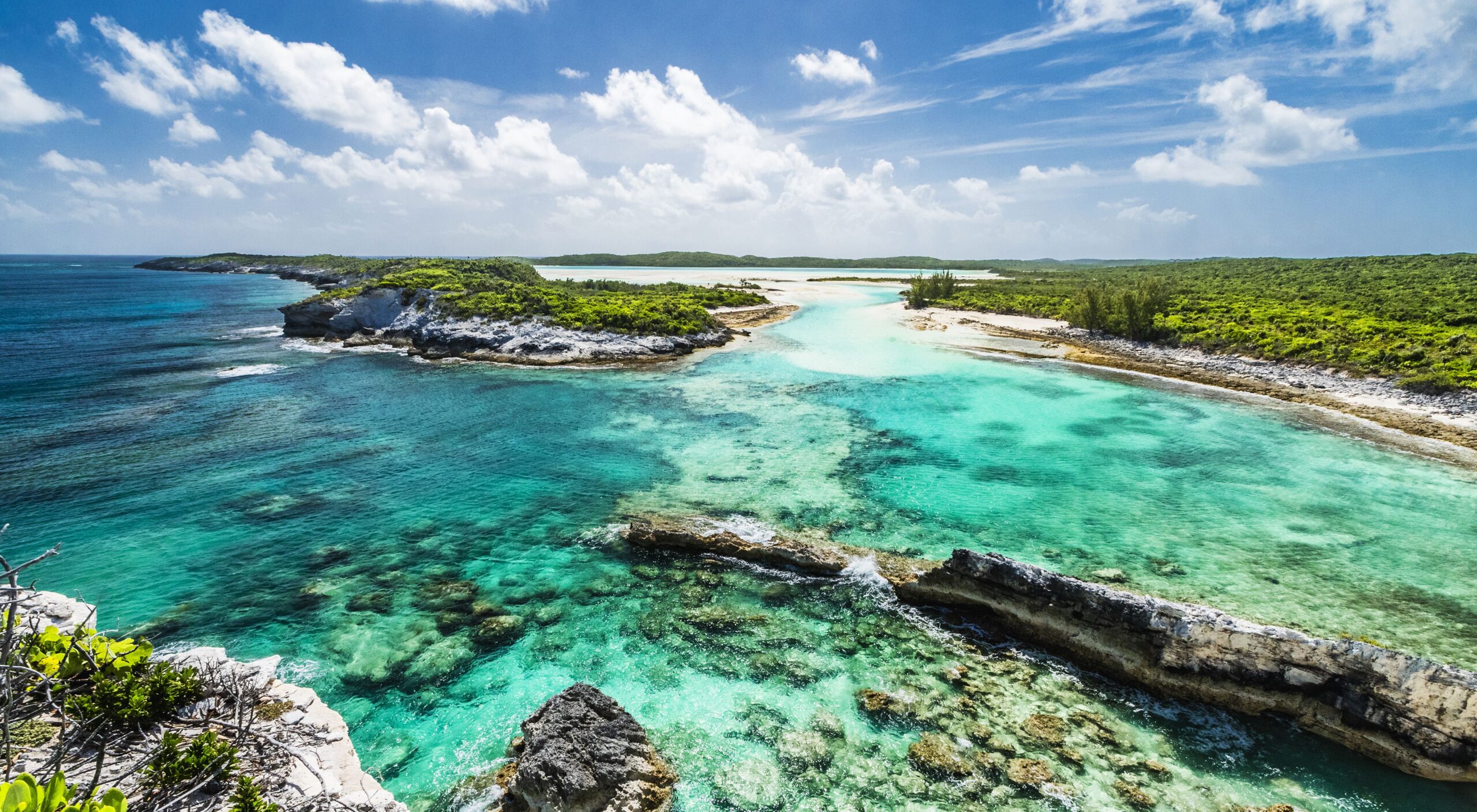 environment-LongIsland-Bahamas-ShaneGross-2