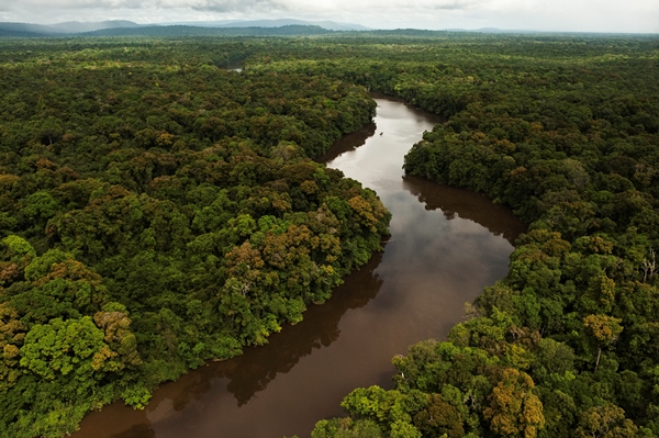 Essequibo river surrounded by forrest in Guyana. Photo courtesy www.huffingtonpost.com