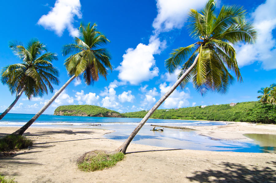 La Sagesse Beach, Grenada (photo via PureGrenada.com)