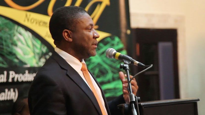 Minister of Science, Technology, Energy and Mining, Hon. Phillip Paulwell