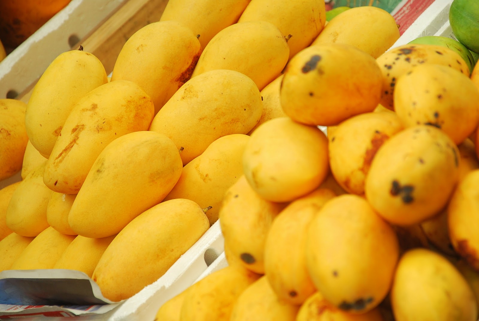 Mangoes for export