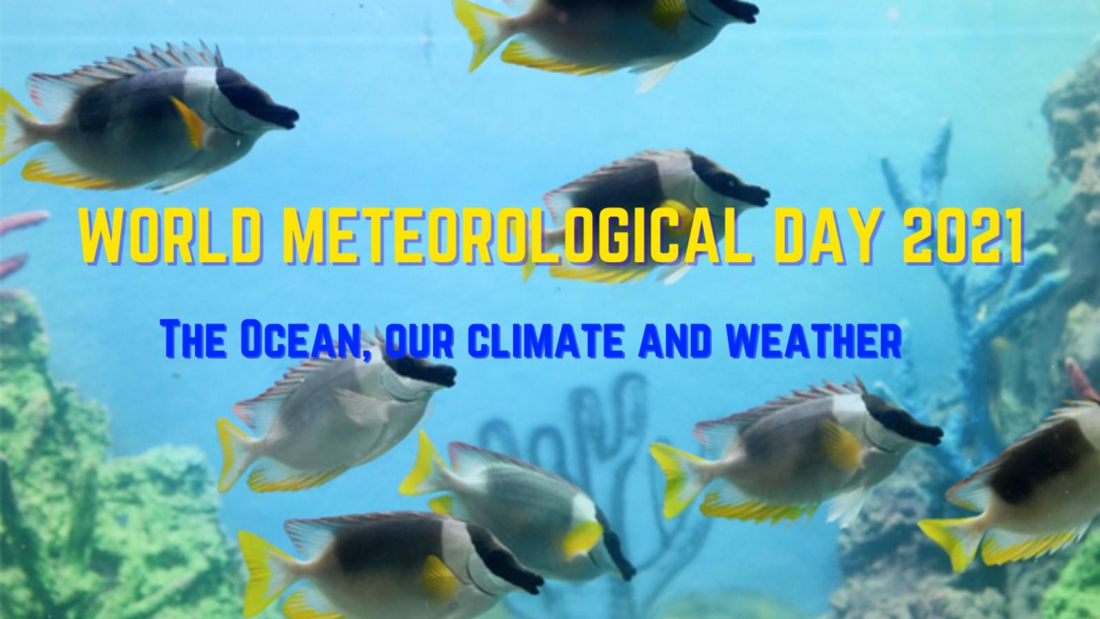 meterological-day-2021