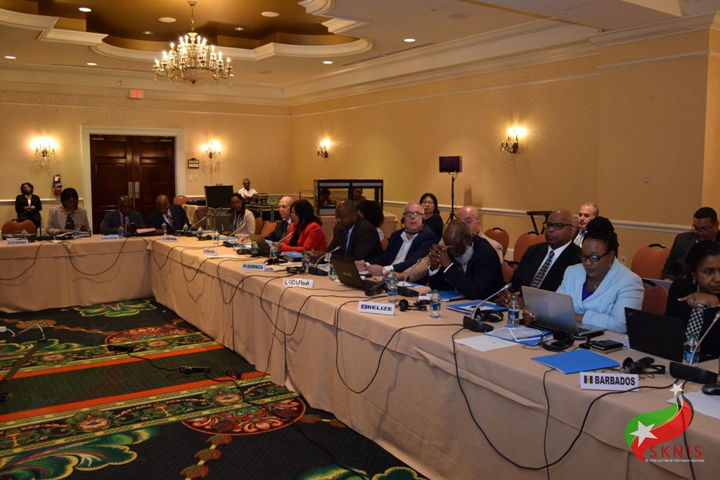 Cross- section of participants at the meeting