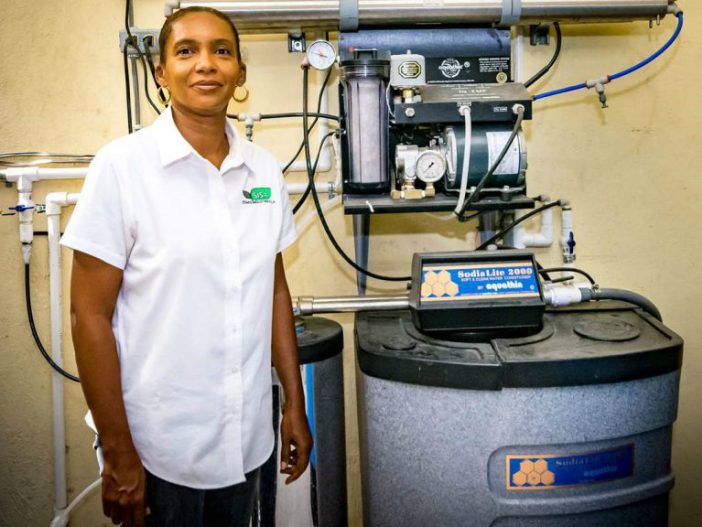 Isabelle Laguerre Mevs