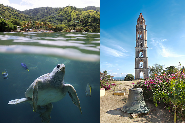Sea turtle in front of Castara Beach, Tobago (l). Bell and Manaca-Iznaga tower, Cuba (r).
