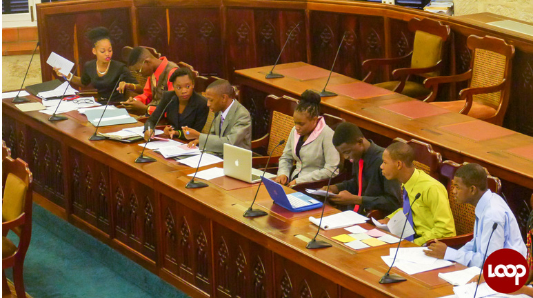 Youth Parliamentarians