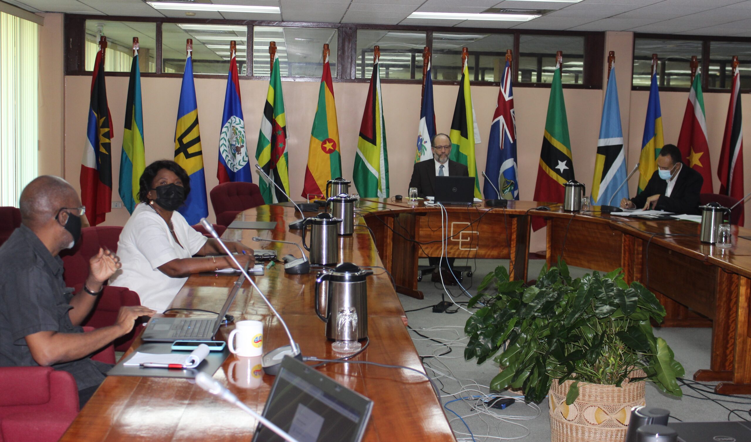 CCS_delegation