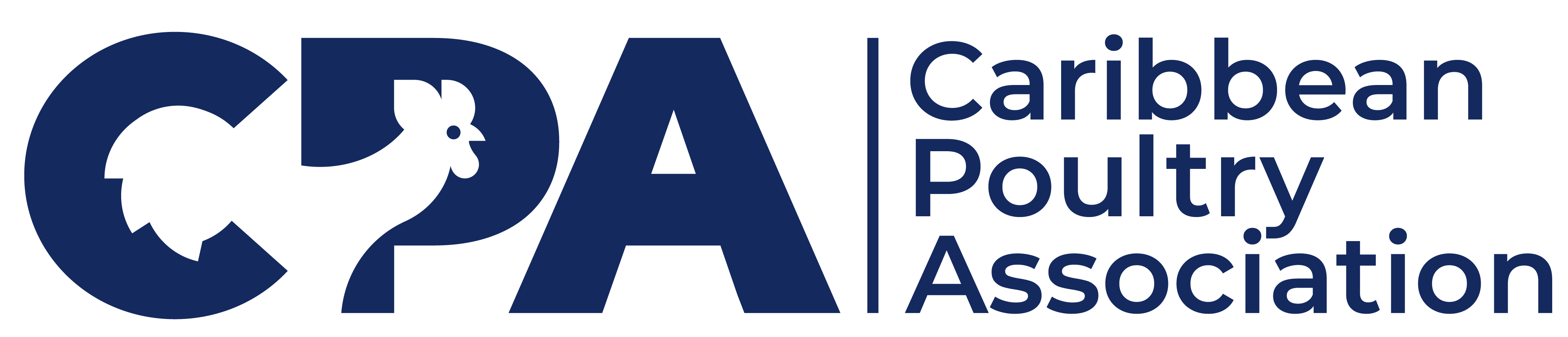 CPA Primary-01