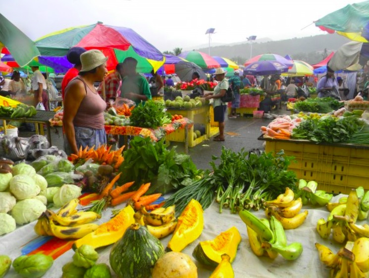 Dominica-agriculture