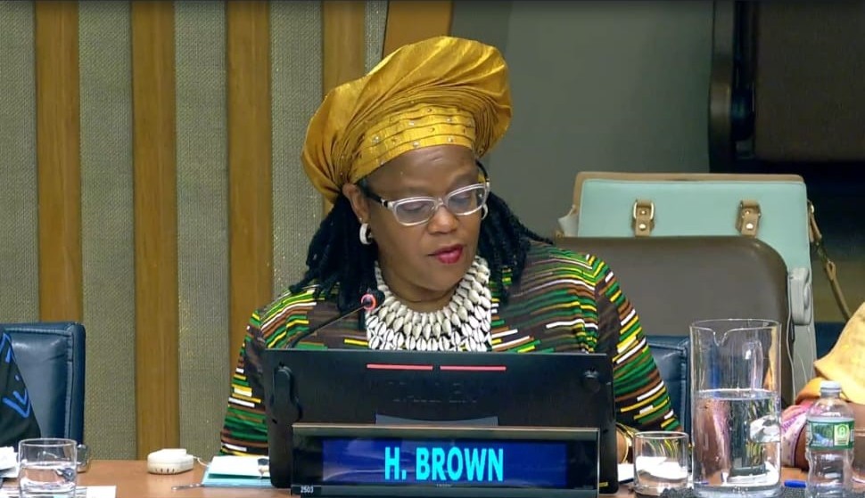 Dr Brown_UN