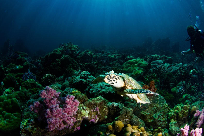 Ocean-scene