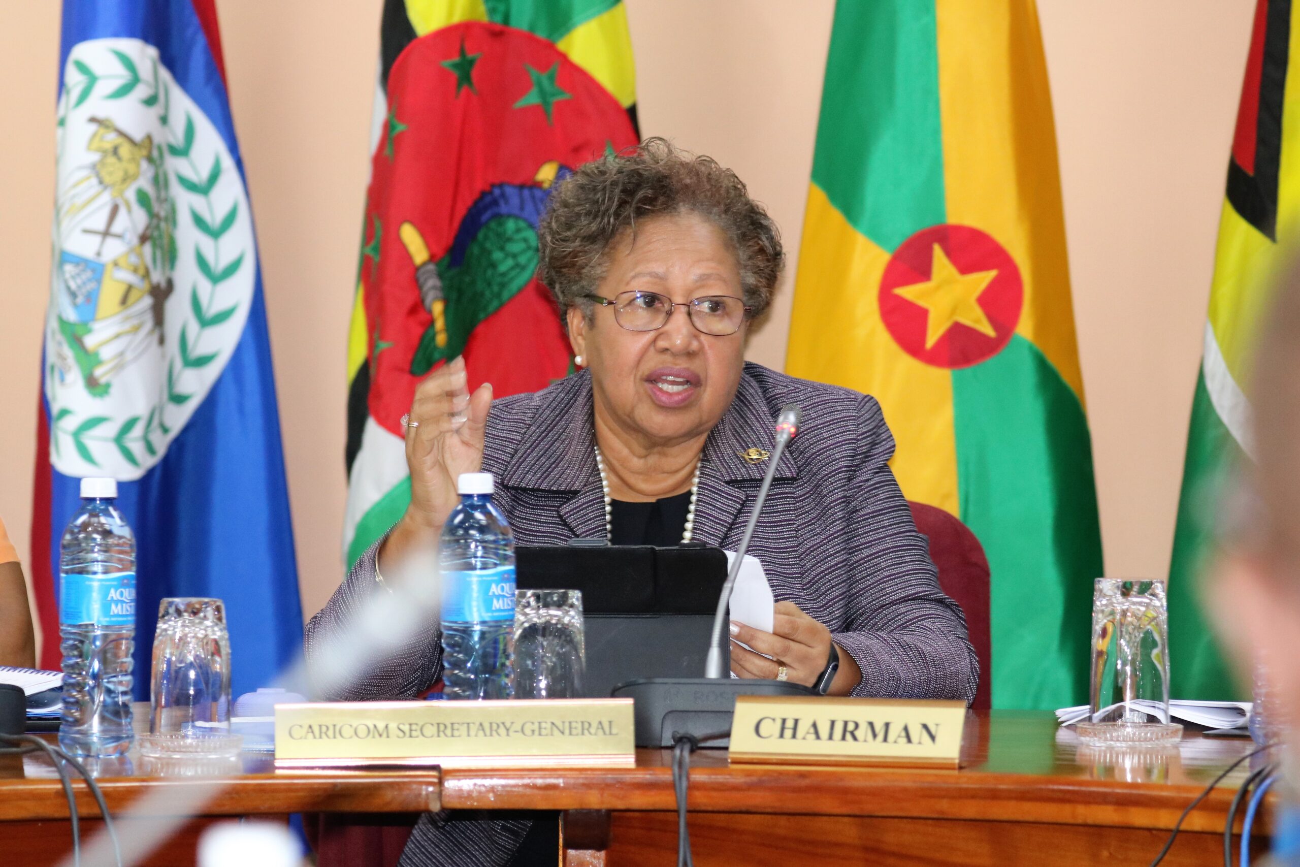 SG at Community Council Jan2023