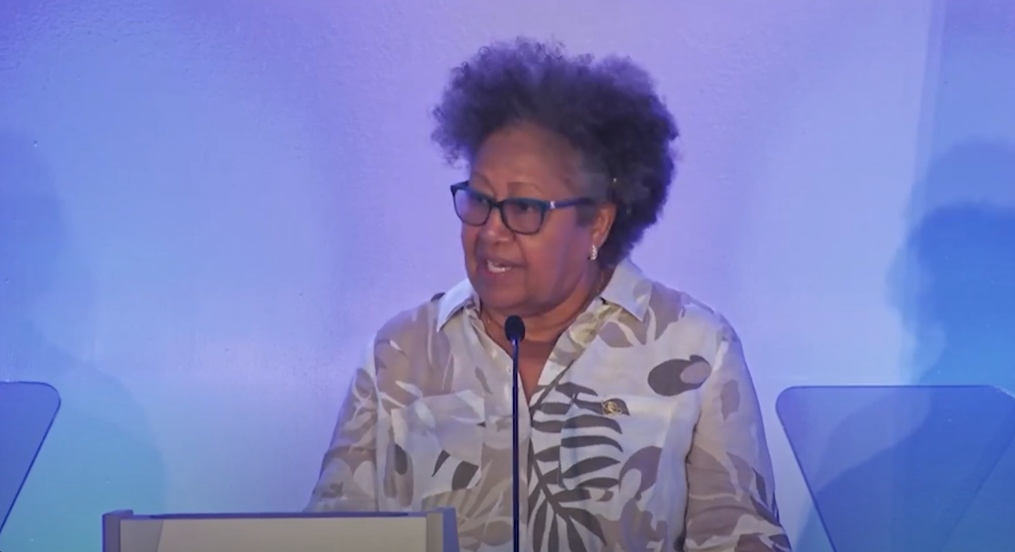 SIDS 4 - SG addresses plenary