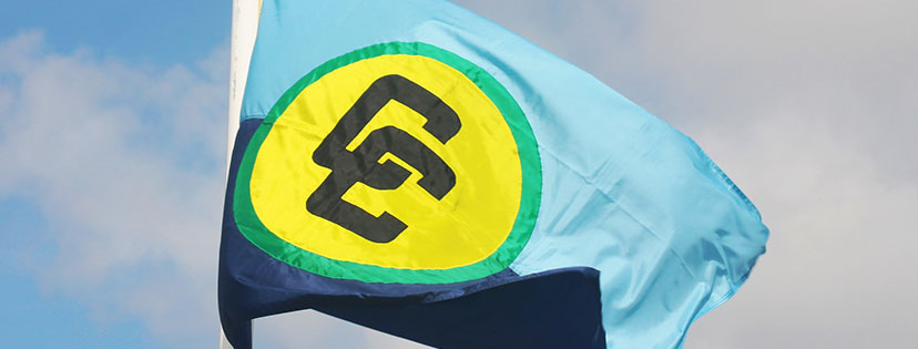 Caricom flag