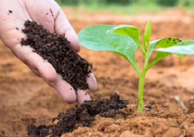 composting