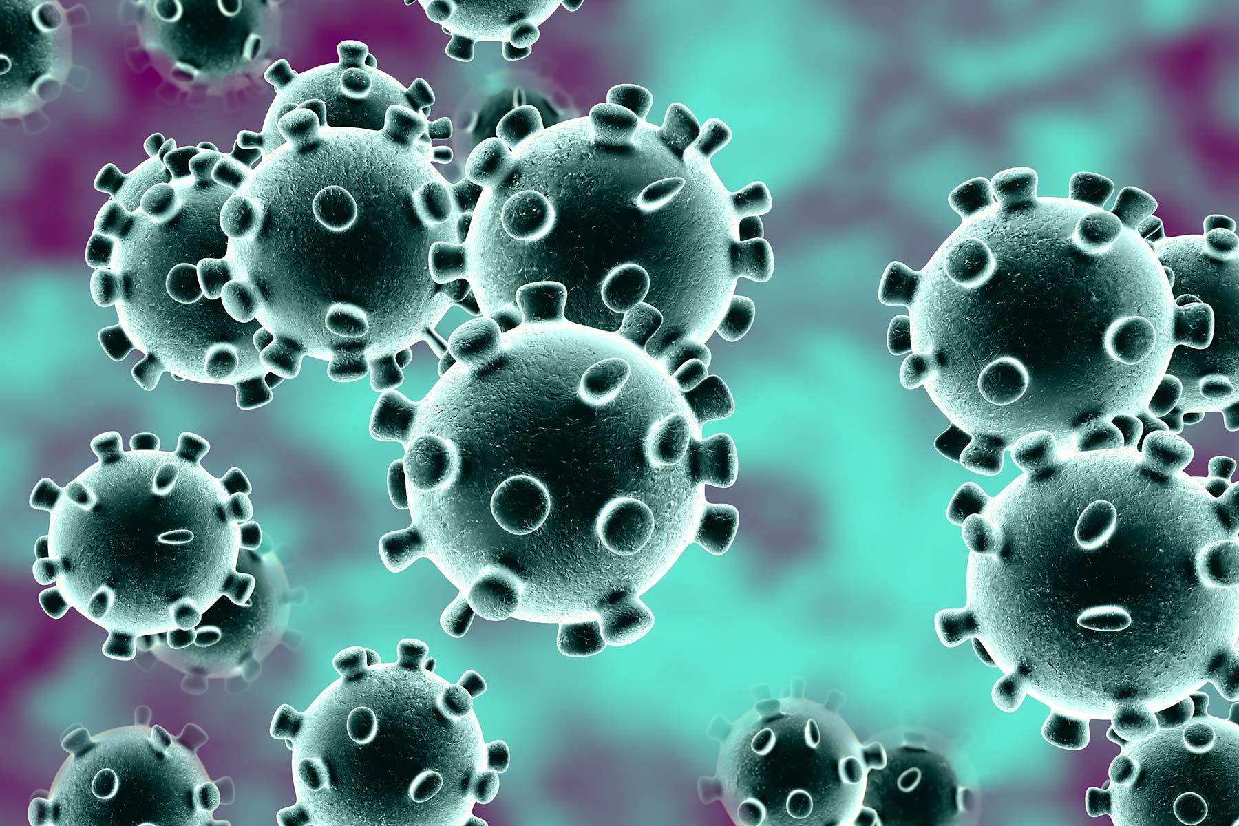 coronavirus_1-WebMD