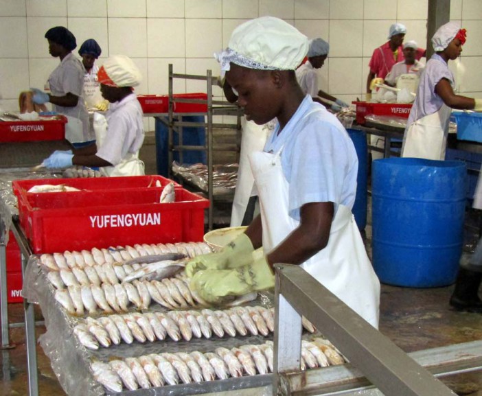 Crfm guyana-fish-photo