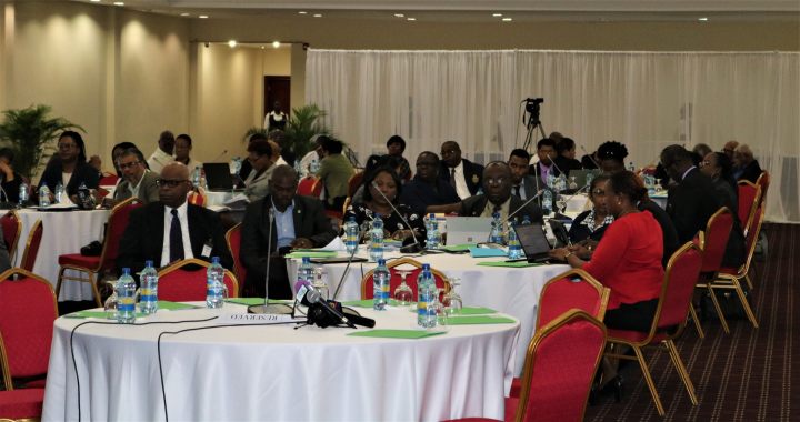 Participants at the Consultation i n Georgetown, Guyana