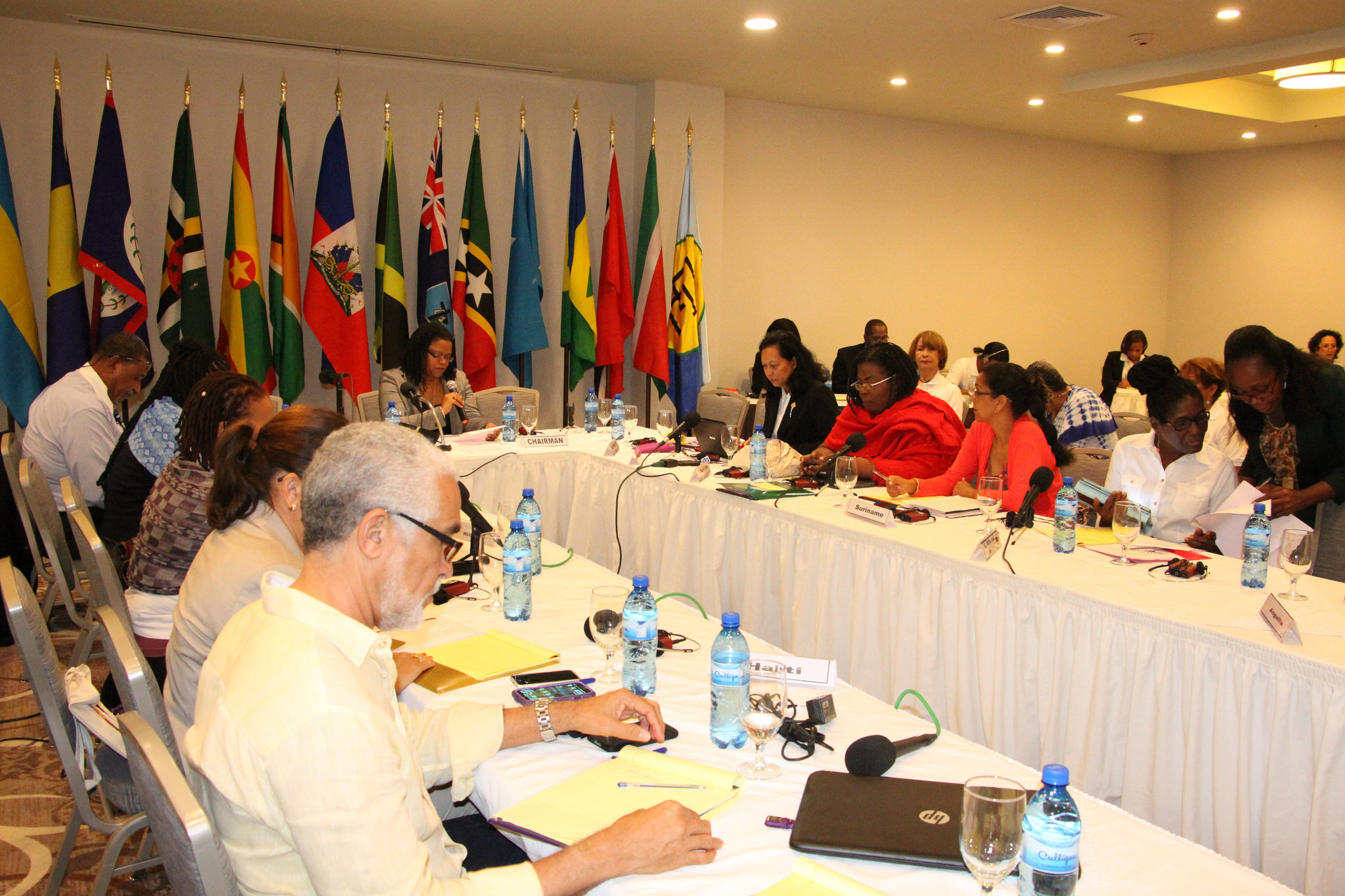 Regional Cultural Committee Meeting in Haiti  Delegates are engrossed in the proceedings at the Regional Cultural Committee Meeting being held from 8-9 July at the Kinam Hotel in Haiti