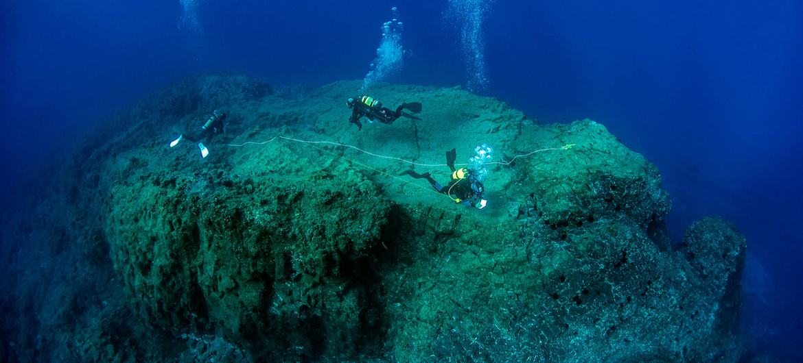 diver in the sea (UN)