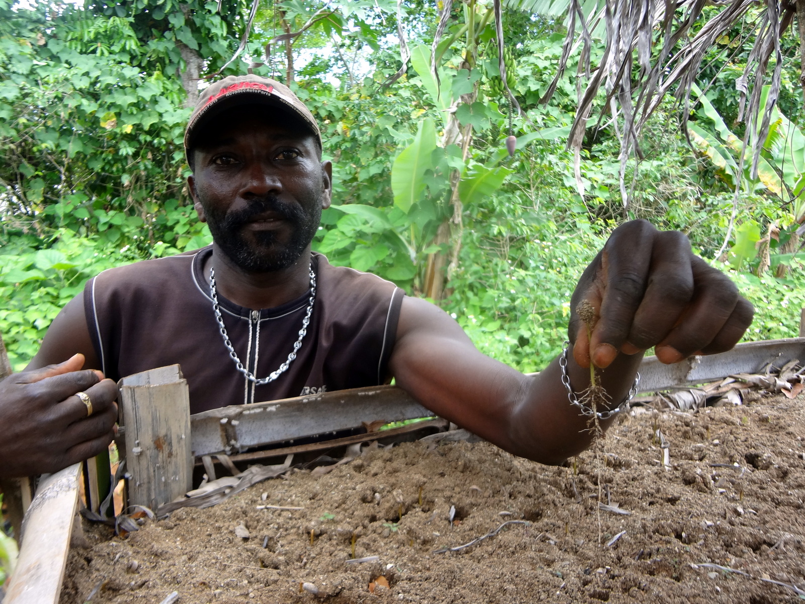 File Photo: Farmer