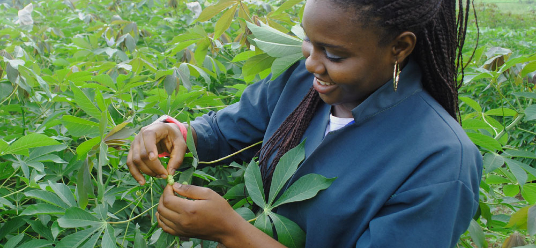 Youth-in-agriculture
