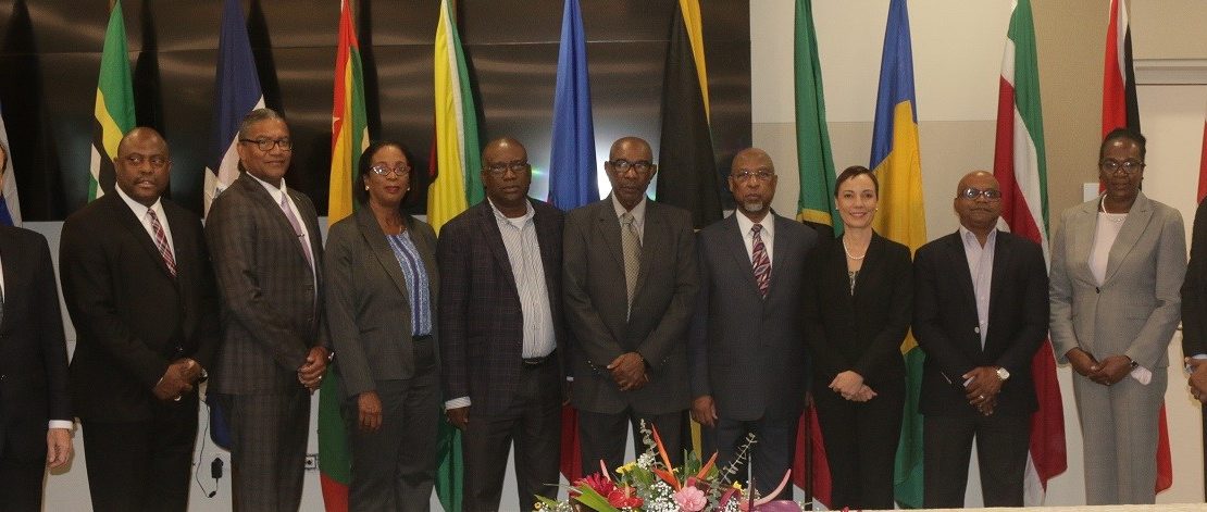 Signatories and CARIFORUM Officials at the Meeting in Saint Lucia