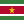 Suriname Flag