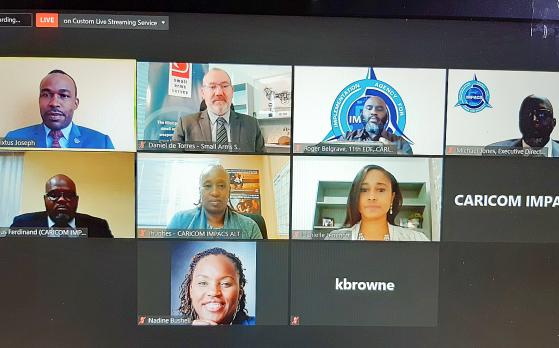 IMPACS-Cross-section of internal participants of the virtual e-signing ceremony