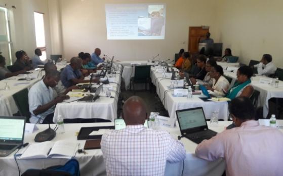 Representatives from CRFM Member States meet to refine draft protocol for climate change adaptation and DRM in Fisheries