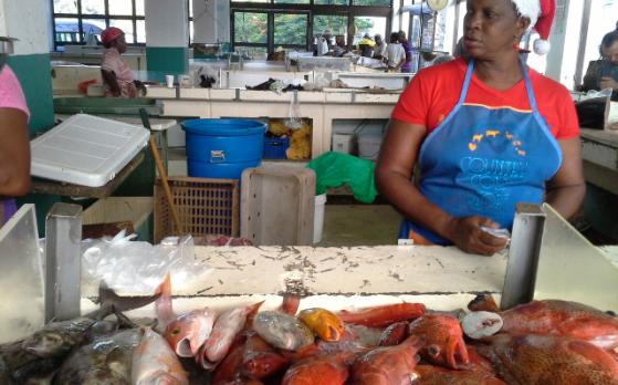 Value chain analysis will also look at improving the supply of fresh reef fish at Caribbean markets (Photo via CRFM)