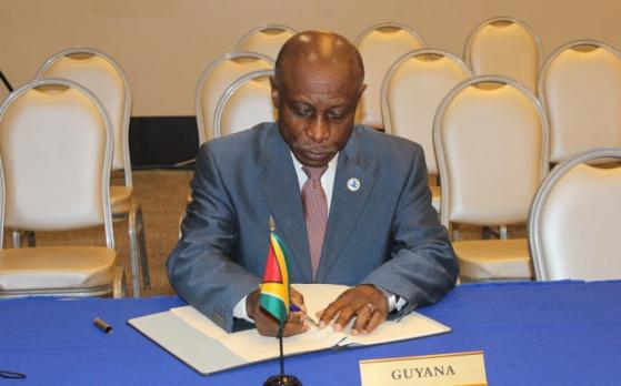 Hon Carl Greenidge, Minister of Foreign Affairs, Guyana